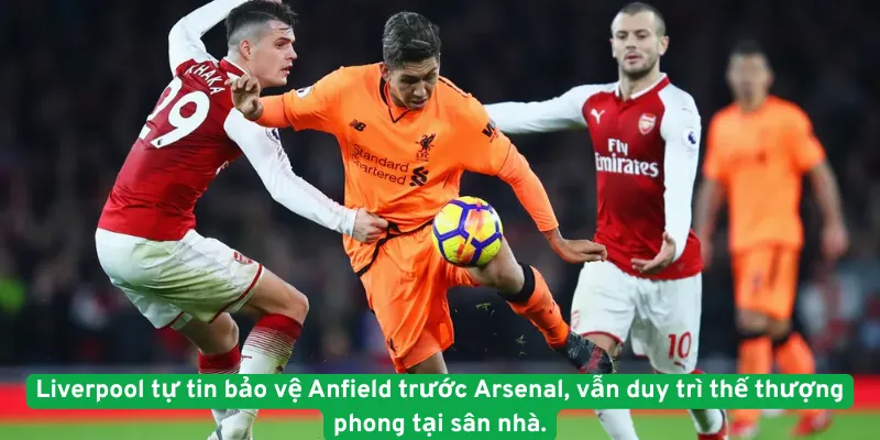 Liverpool tự tin bảo vệ Anfield trước Arsenal, vẫn duy trì thế thượng phong tại sân nhà.